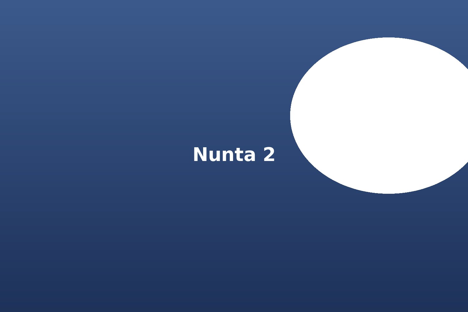 Nunta Andra si Andrei